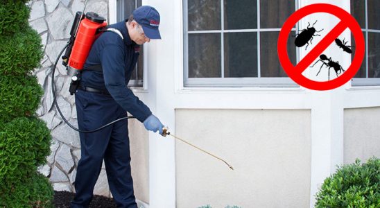 Sığacık Böcek İlaçlama böcek ilaçlama ve haşere kontrolü — ilaclama-tr.com